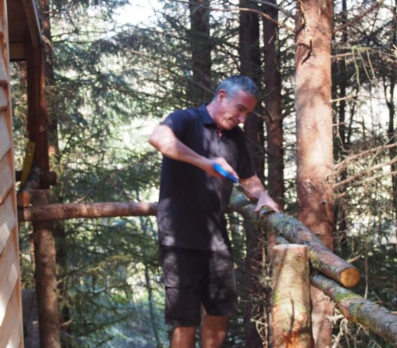 Sunshine, Squirrels, Swallows and Jays Sunshine, Squirrels, Swallows and Jays