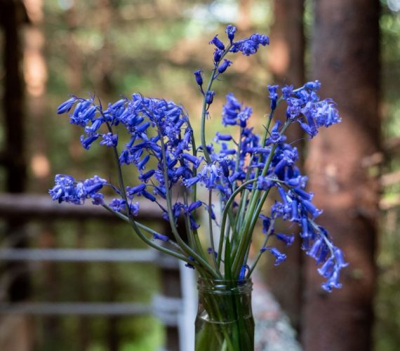 And, relax… And, relax…